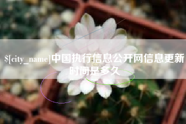 象山中国执行信息公开网信息更新时间是多久