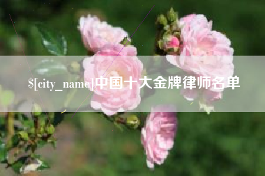 象山中国十大金牌律师名单