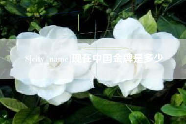象山现在中国金牌是多少