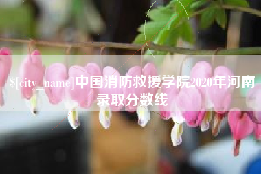 象山中国消防救援学院2020年河南录取分数线