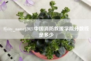 象山2021中国消防救援学院分数线是多少
