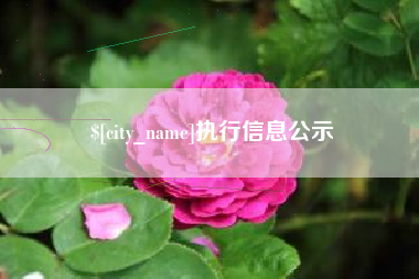 象山执行信息公示