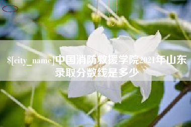 象山中国消防救援学院2021年山东录取分数线是多少