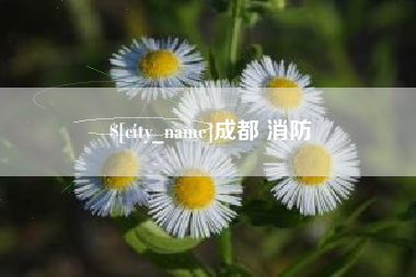 象山成都 消防