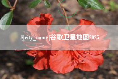 象山谷歌卫星地图2025