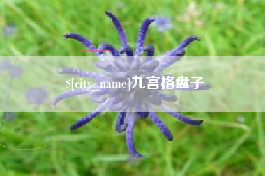 象山九宫格盘子