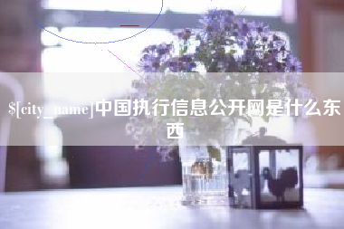 象山中国执行信息公开网是什么东西