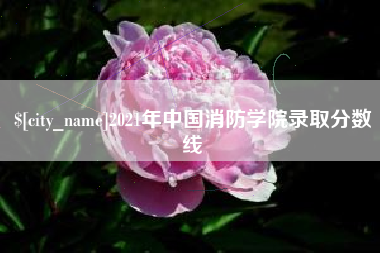 象山2021年中国消防学院录取分数线