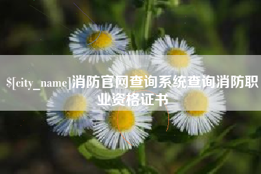 象山消防官网查询系统查询消防职业资格证书