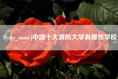 象山中国十大消防大学有哪些学校