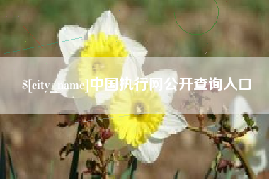 象山中国执行网公开查询入口