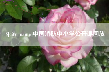 象山中国消防中小学公开课回放