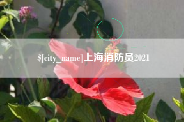 象山上海消防员2021