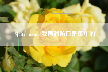 象山我国消防日是每年的