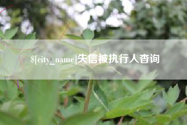 象山失信被执行人杳询