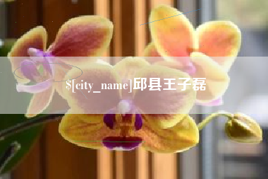 象山邱县王子磊