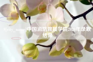 象山中国消防救援学院2020年录取结果
