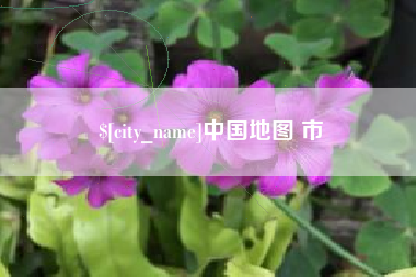 象山中国地图 市