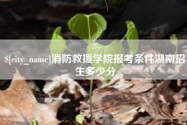 象山消防救援学院报考条件湖南招生多少分