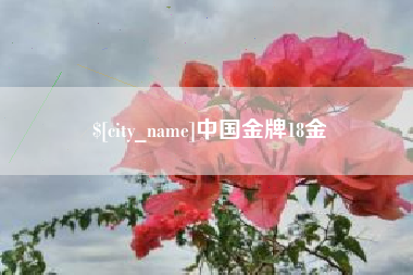 象山中国金牌18金