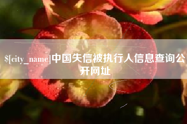 象山中国失信被执行人信息查询公开网址