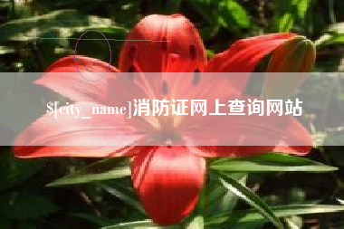 象山消防证网上查询网站