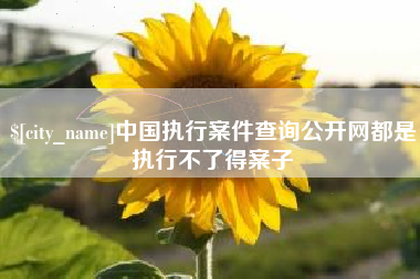 象山中国执行案件查询公开网都是执行不了得案子