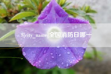 象山全国消防日哪一