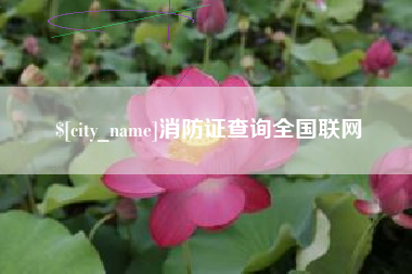 象山消防证查询全国联网