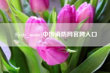 象山中国消防网官网入口