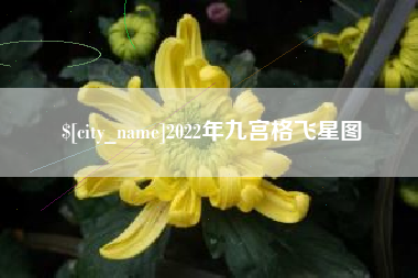 象山2022年九宫格飞星图