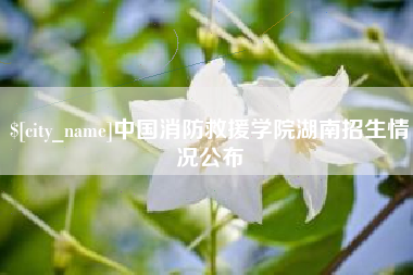 象山中国消防救援学院湖南招生情况公布