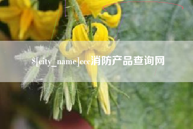 象山ccc消防产品查询网