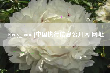 象山中国执行信息公开网 网址