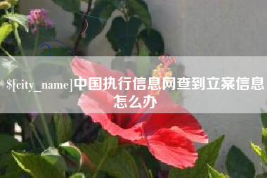 象山中国执行信息网查到立案信息怎么办