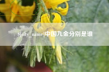 象山中国九金分别是谁