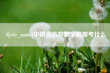 象山中国消防救援学院都考什么