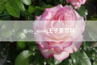 象山王子豪百科