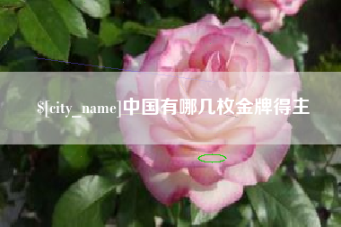 象山中国有哪几枚金牌得主