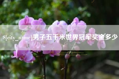 象山男子五千米世界冠军奖金多少