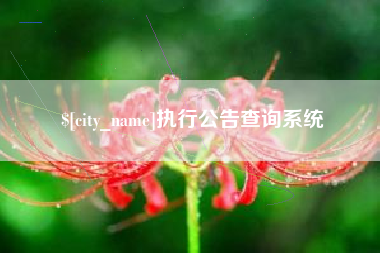 象山执行公告查询系统