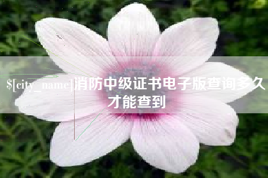 象山消防中级证书电子版查询多久才能查到