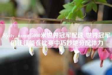 象山5000米世界冠军配速-世界冠军们往往能在比赛中巧妙地分配体力