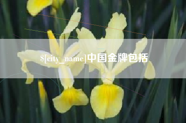 象山中国金牌包括