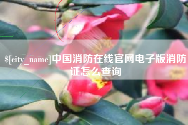 象山中国消防在线官网电子版消防证怎么查询