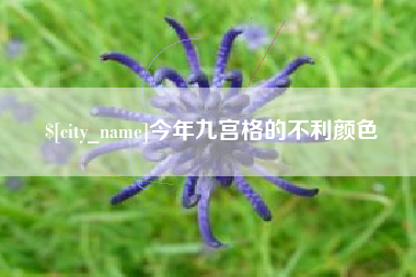 象山今年九宫格的不利颜色