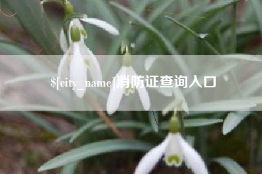 象山消防证查询入口