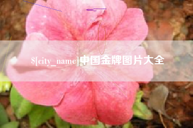 象山中国金牌图片大全