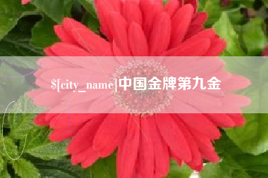 象山中国金牌第九金
