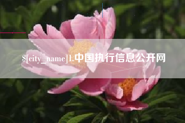 象山1.中国执行信息公开网